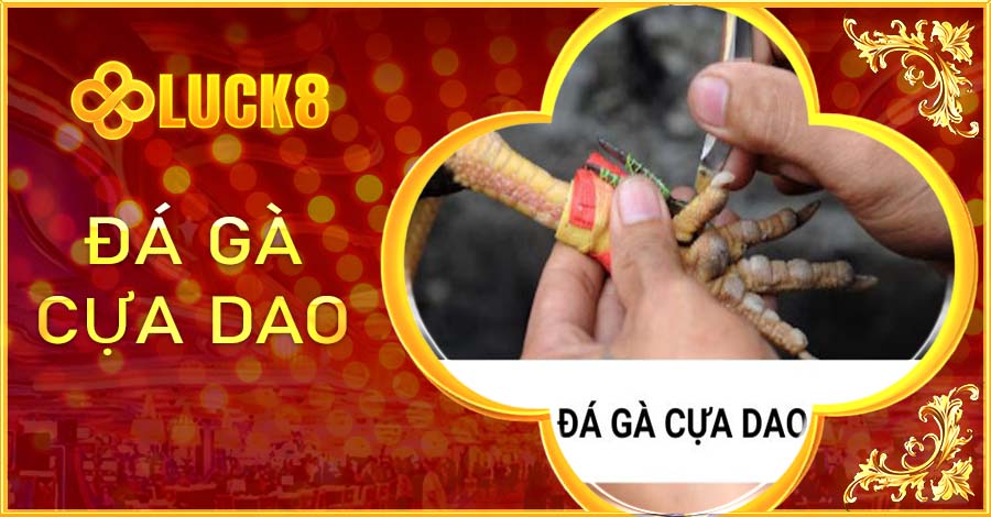 Đá Gà Cựa Dao Luck8